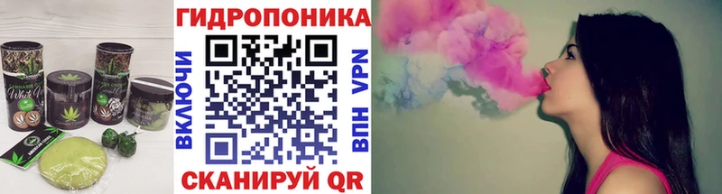 Cannafood конопля  Купить закладки  Гаджиево 