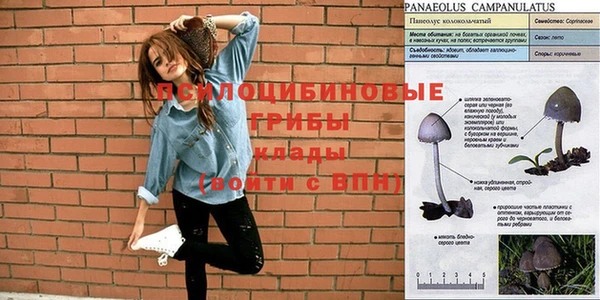 кокс Балабаново
