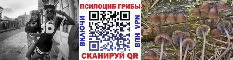 Купить закладки  Гаджиево  Псилоцибиновые грибы MAGIC MUSHROOMS 